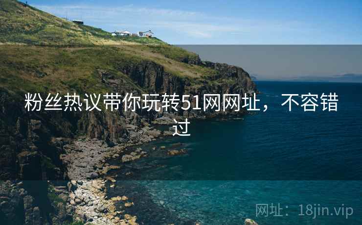 粉丝热议带你玩转51网网址，不容错过