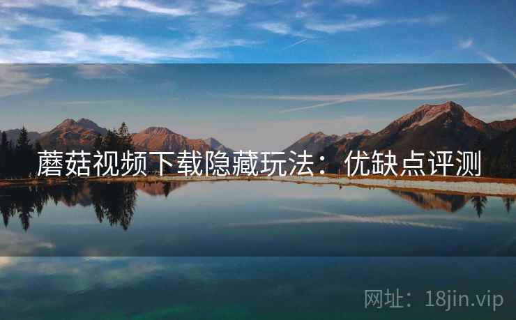 蘑菇视频下载隐藏玩法：优缺点评测