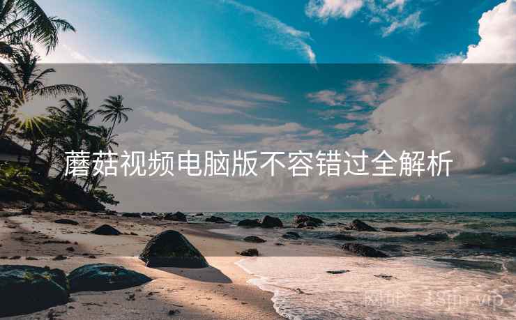 蘑菇视频电脑版不容错过全解析
