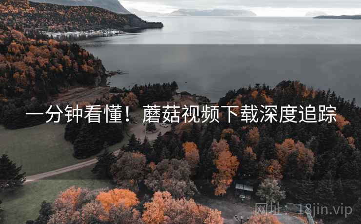 一分钟看懂！蘑菇视频下载深度追踪