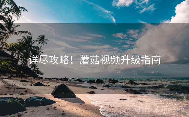 详尽攻略！蘑菇视频升级指南